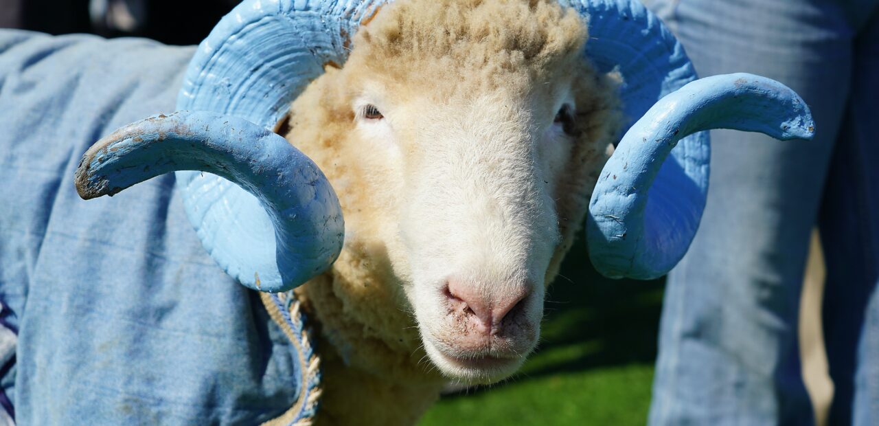 Rameses