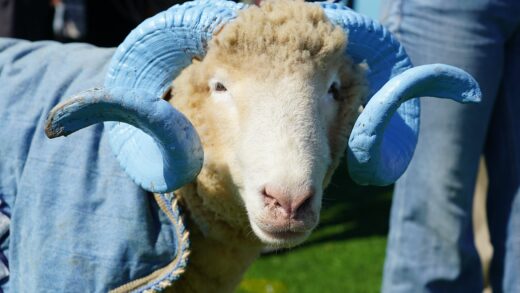 Rameses